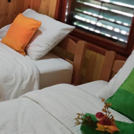 Apartman Orlovo Oko Mandici Екстер'єр фото